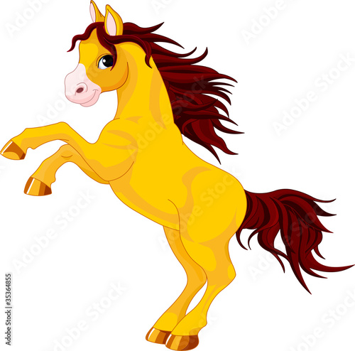 Horse