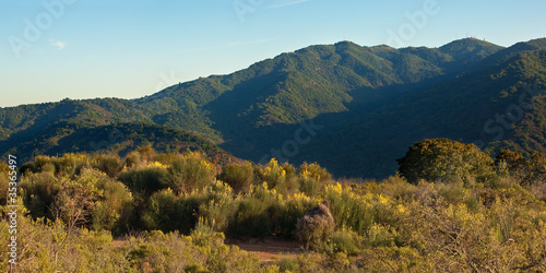 Panorama of a typical Central California sunset over wildflowers