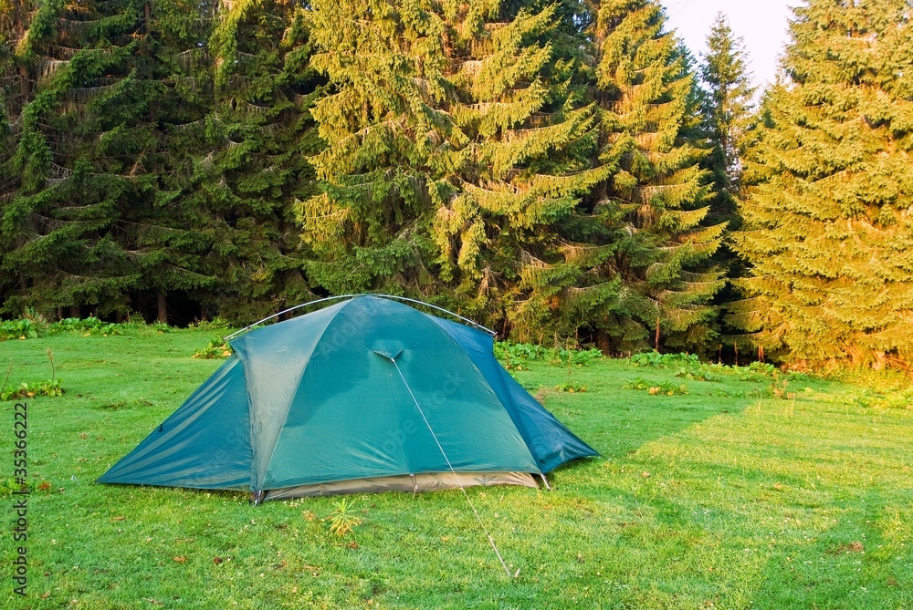 green touristic tent on a forest glade at the morning