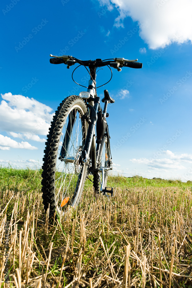 Naklejka premium bike