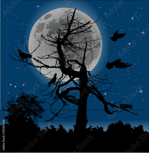 birds and dead tree at full moon