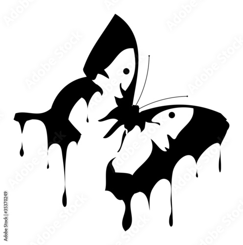 schmetterling
