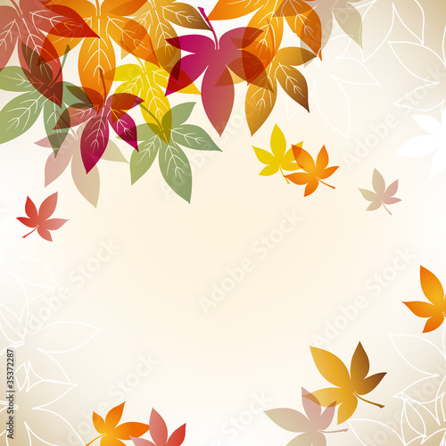 colorful maple background