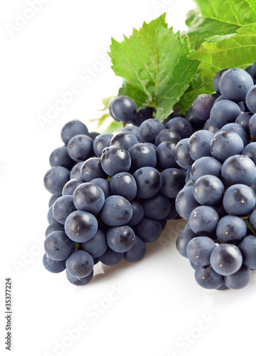 blue grapes with green leaf