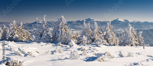winter landscape © Leonid Tit