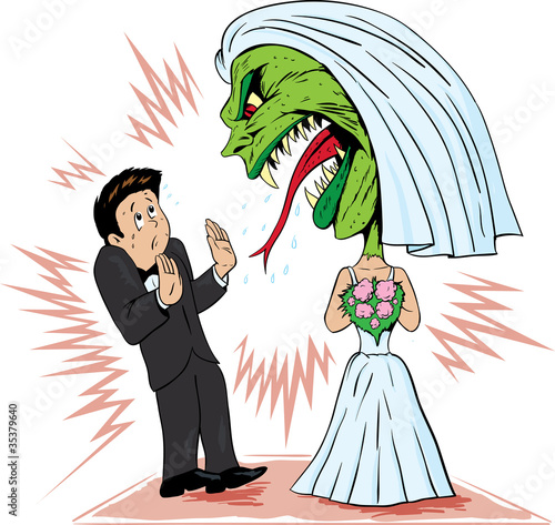 Bride going ballistic on her husband