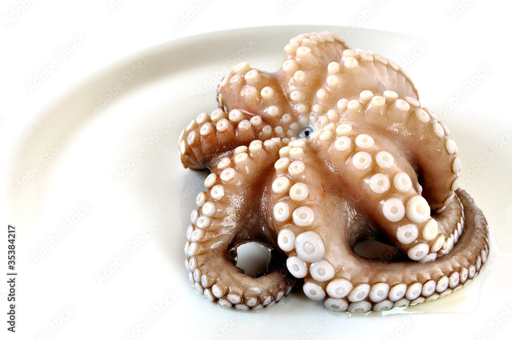 Raw octopus Raw octopus