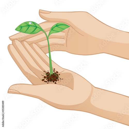 Hand holding new little plant