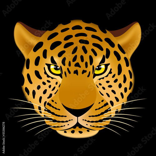 Leopard head