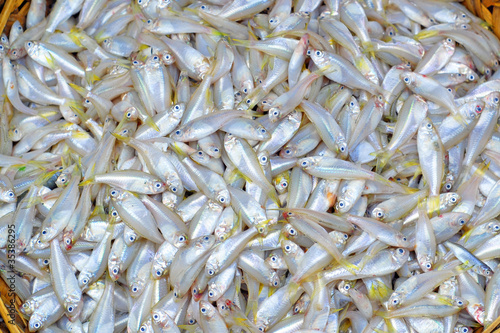 Valokuva Xiamen street market whitebaits