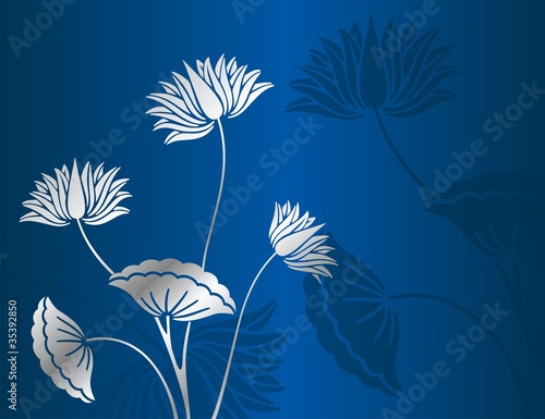 Fototapeta Naklejka Na Ścianę i Meble -  water lilies