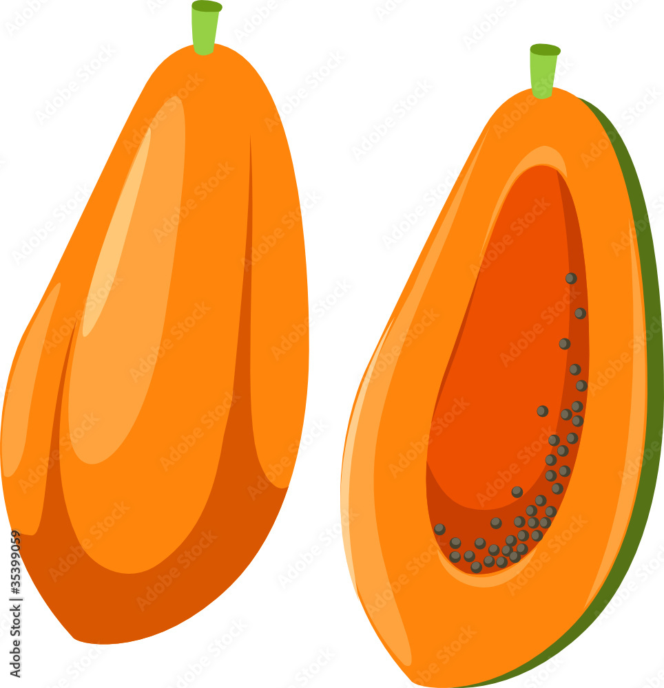 Papaya vector de Stock Adobe Stock