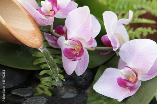 Fototapeta Naklejka Na Ścianę i Meble -  source