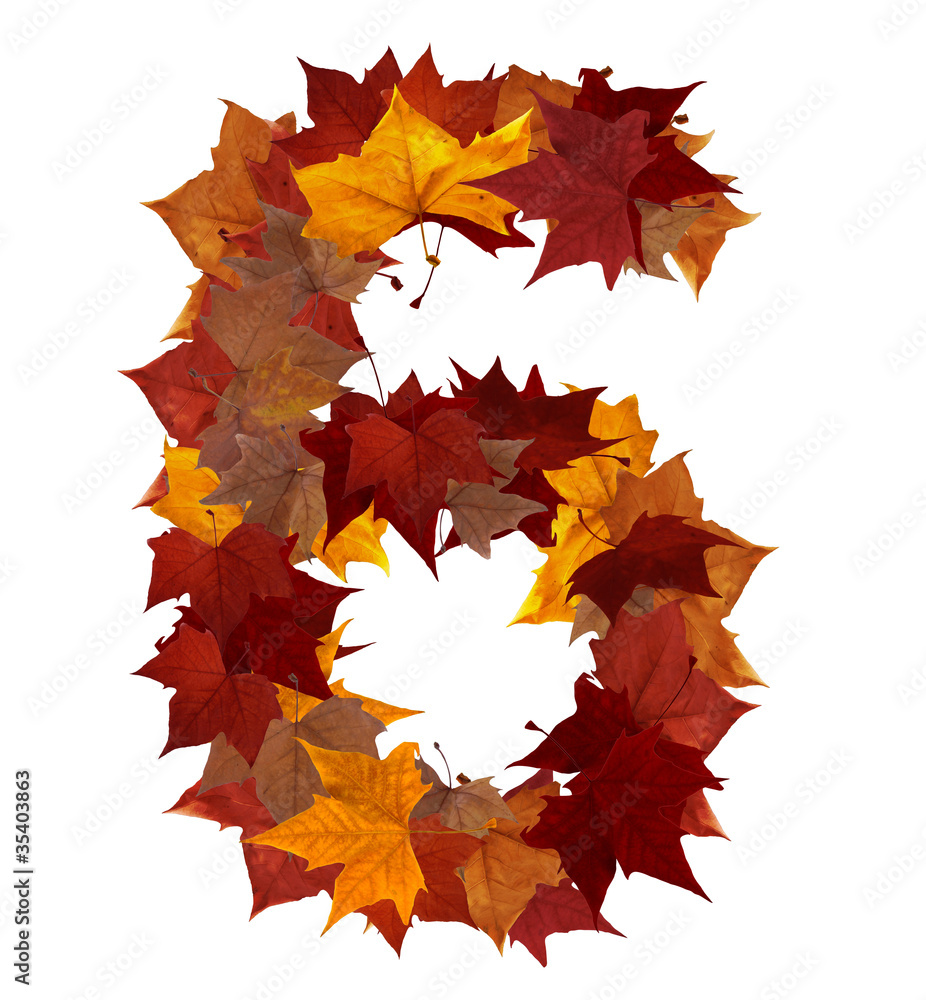 Fototapeta premium Number six multicolored fall leaf composition isolated