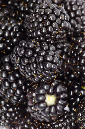 blackberry berry