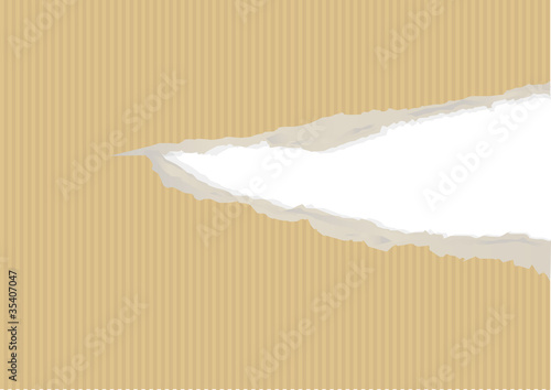 Fond_Kraft_Dechirure