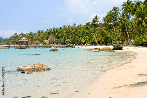 Tropical beach with palm trees on the sand near the sea.