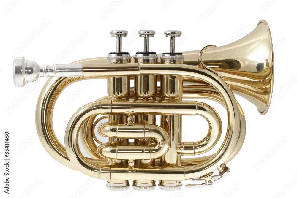 Obraz premium golden pocket trumpet