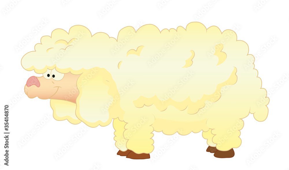 sheep sheep