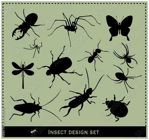 insect vector set