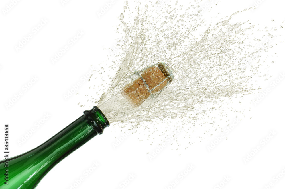 Sylvester 12 StockIllustration Adobe Stock