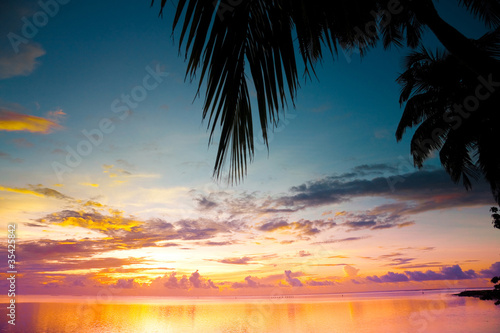 Fototapeta Naklejka Na Ścianę i Meble -  Bliss Palm Ocean