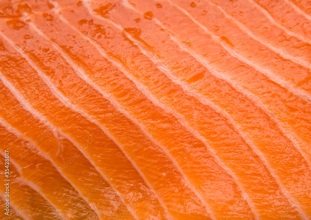 Salmon fillet