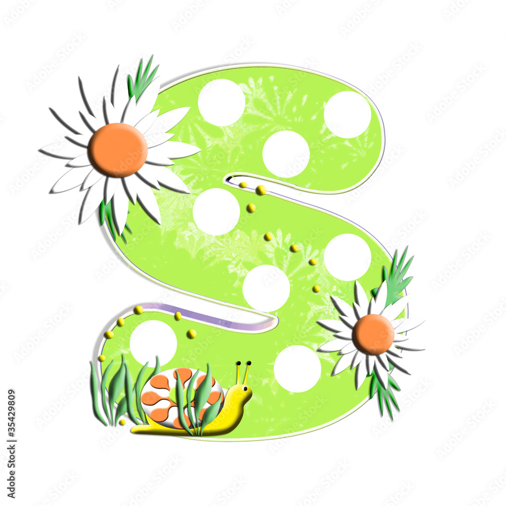 Alpha Daisy Snail S Alpha Daisy Snail S