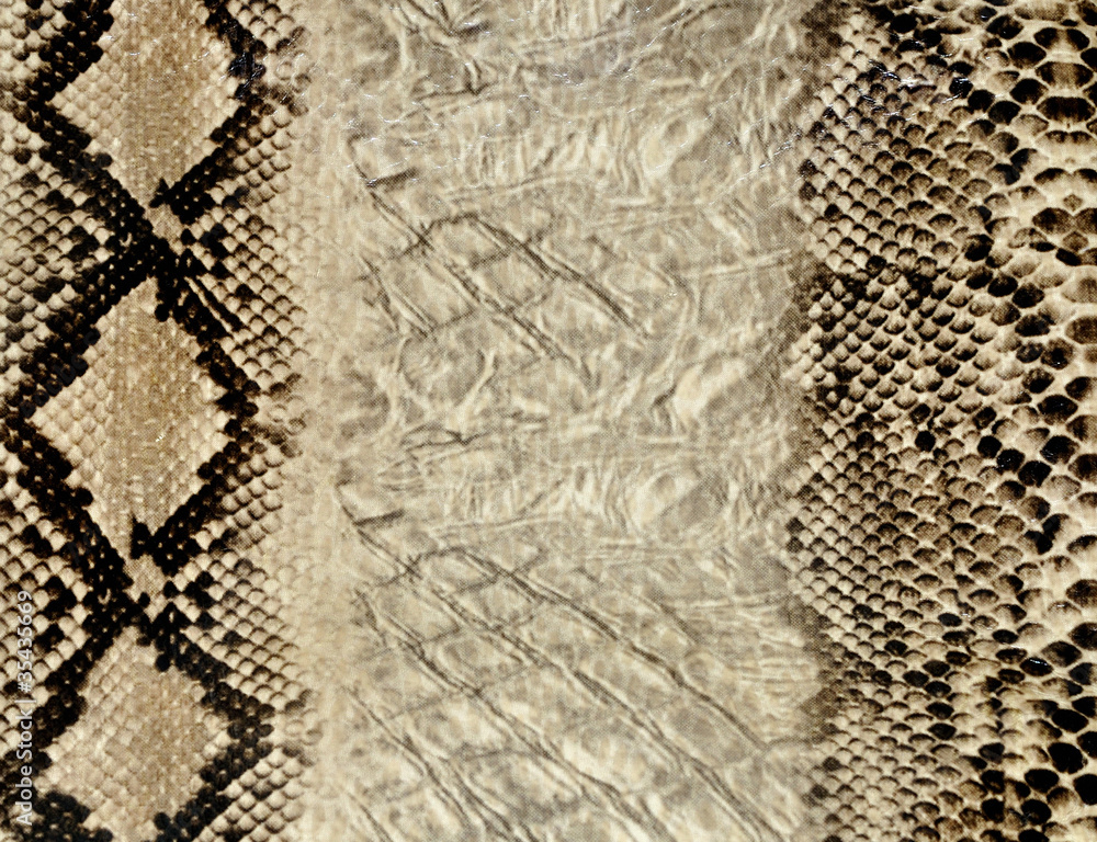 Snake skin Snake skin