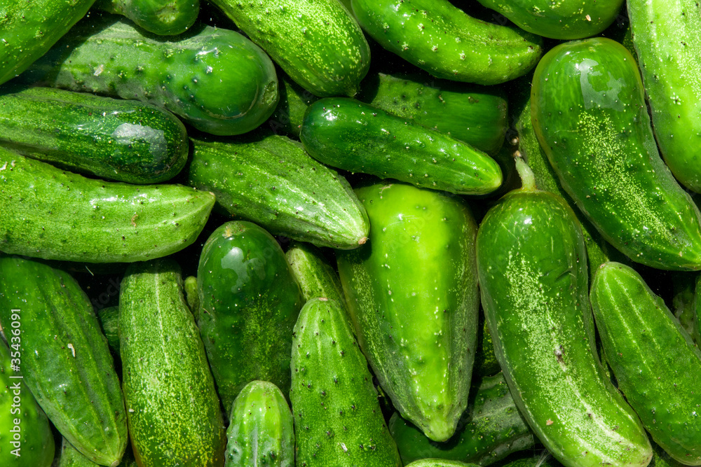 cucumbers