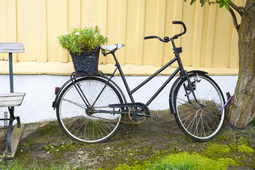 Decorative background with Scandinavian bicycle