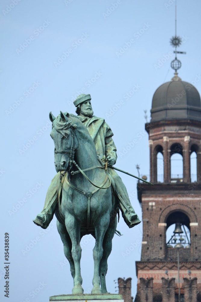 Fototapeta premium garibaldi