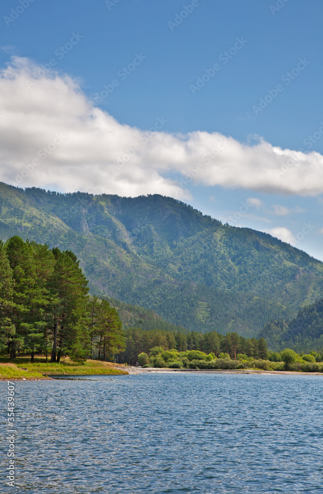 Beautiful view of mountain river in summer,Altai Mountains Beautiful view of mountain river in summer,Altai Mountains