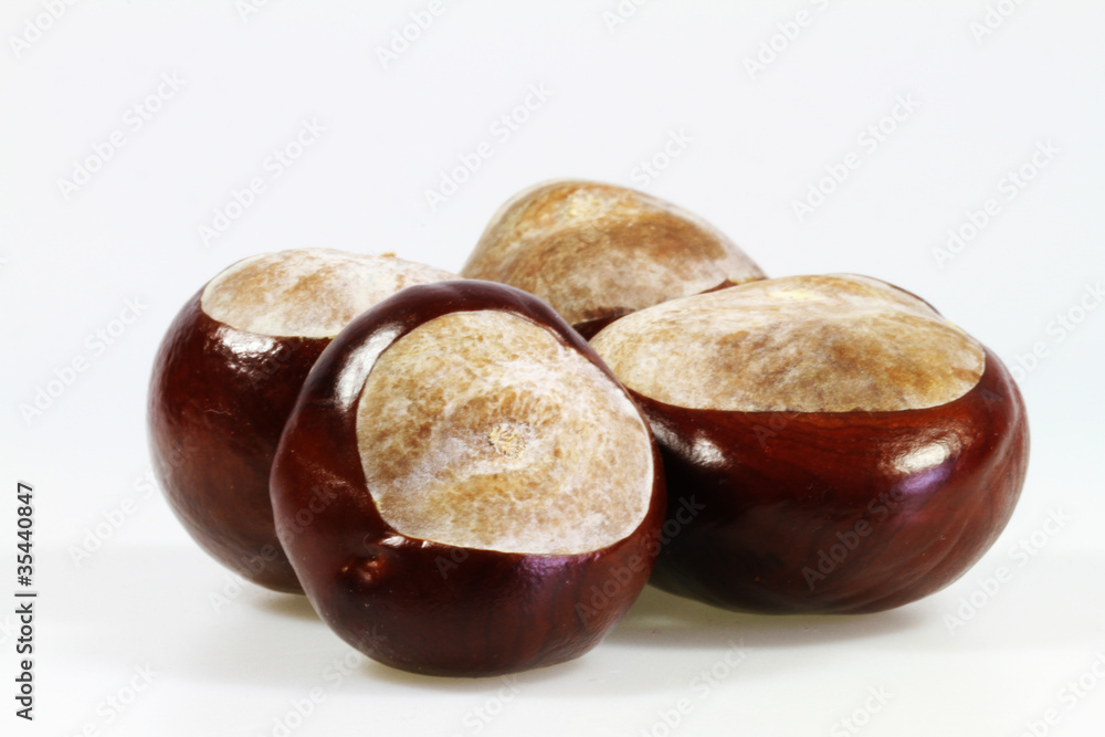 Obraz premium Kastanien