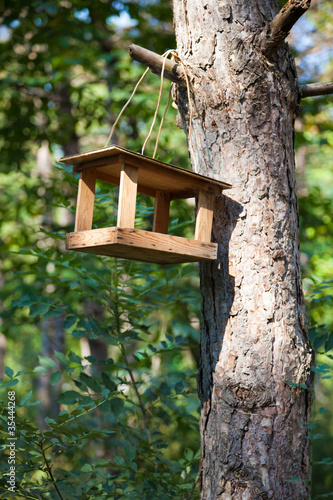 Birdhouse on tree in City Park