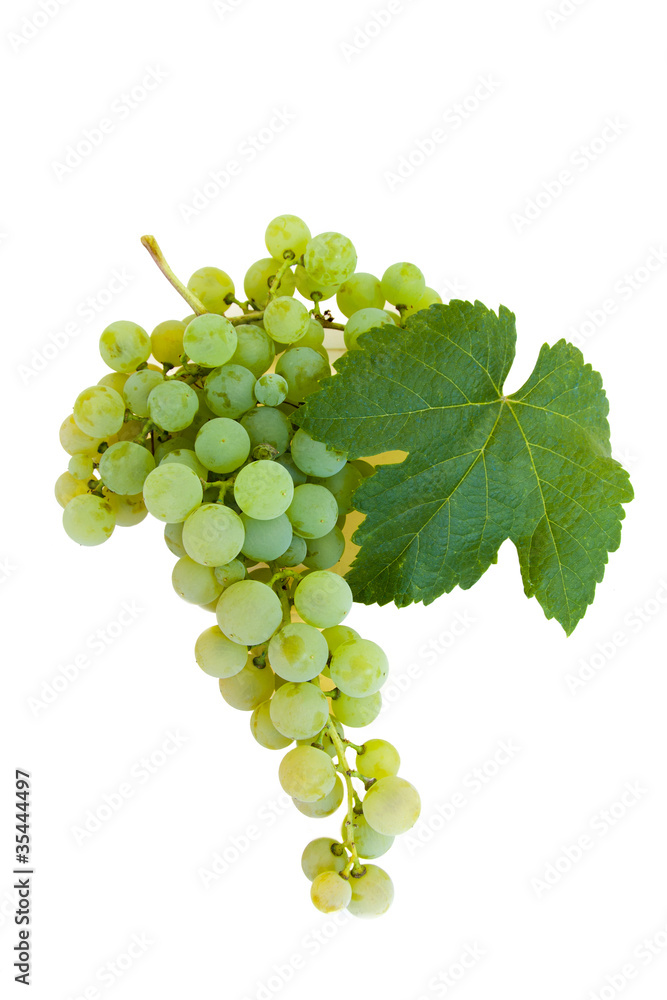 Fototapeta premium isolated cluster of grapes