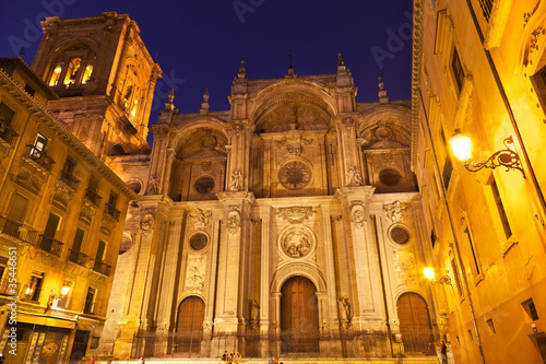 Cathedral of the Incarnation. Facade at night. Granada  Spain