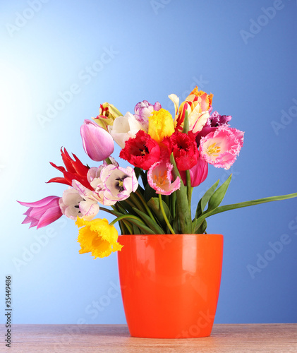 Fototapeta Naklejka Na Ścianę i Meble -  Tulips in vase on blue background