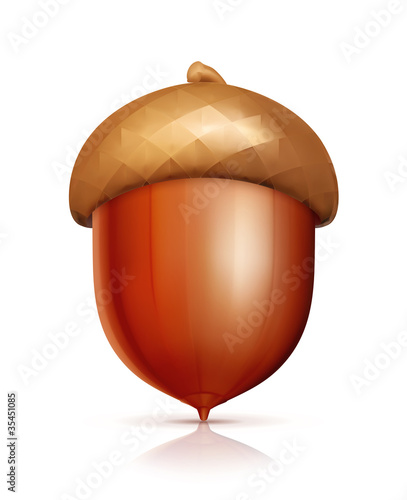 Acorn icon