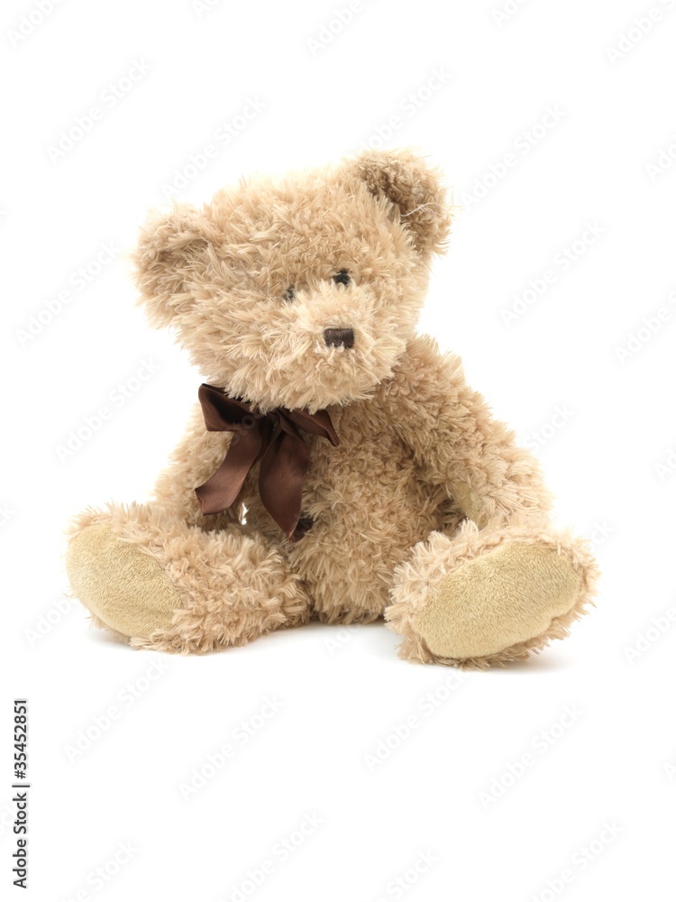 Fototapeta premium Miś