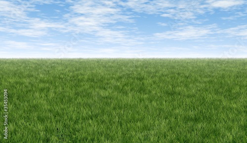 Green grass and blue sky © freshidea