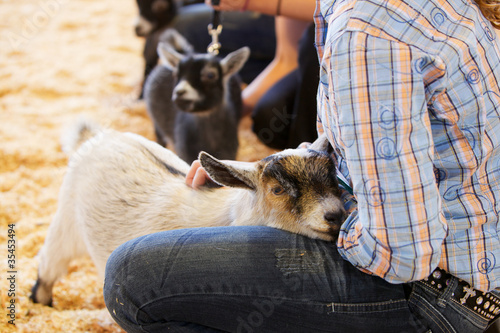 Baby goat Young handler