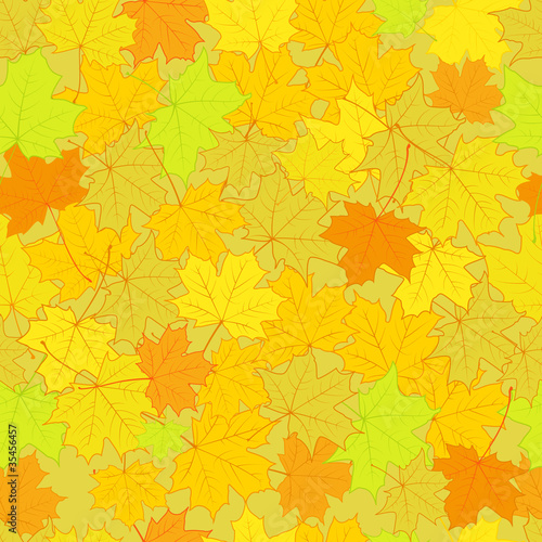 Maple leaves seamless pattern