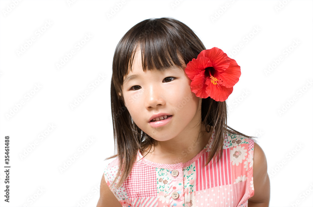 ハイビスカス女子 ハイビスカス女子