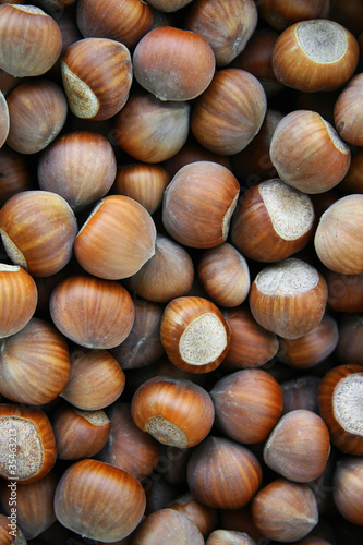 Hazelnuts Tonda