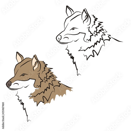 wolf 001