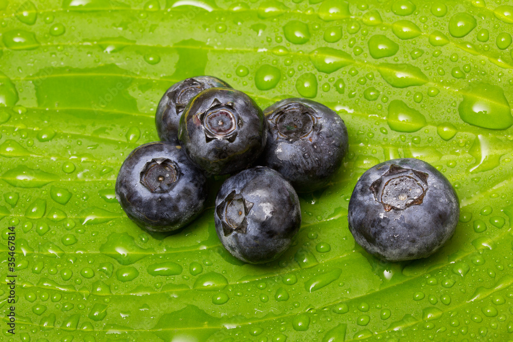 Blueberry Blueberry