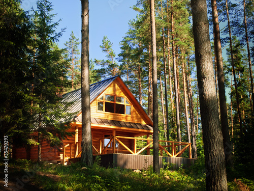 Print op canvas log House in the forest