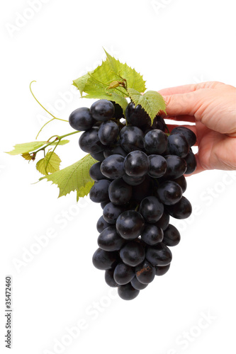 Hand with grapes
