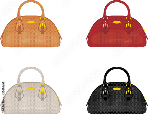 Designer female bags. vector